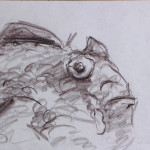 fisch
