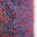 rave-detail