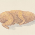 dogless-head-buntstift-auf-papier