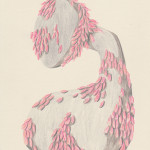 feathers-buntstift-auf-papier