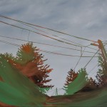 trees-12