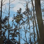 trees-10
