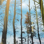trees-8