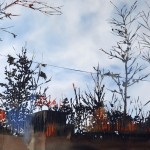 trees-7