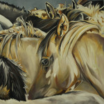 duelmener-wildpferde-ii-100x100-oel-2015