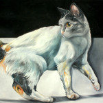 japanese-bobtail-94x124-oel-2014