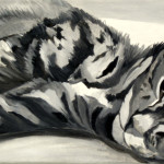 siesta-20x50-oel-2014