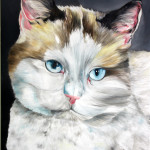 silver-100x75-oel-2013