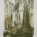 pandan