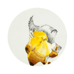 abstract-animal-19