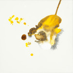 abstract-animal-24