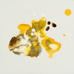 abstract-animal-38