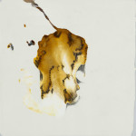 abstract-animal-40