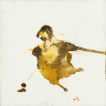 abstract-animal-45