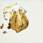 abstract-animal-46