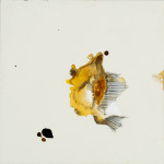 abstract-animal-47