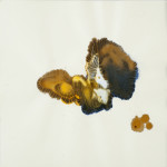 abstract-animal-51