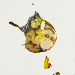 abstractanimal39